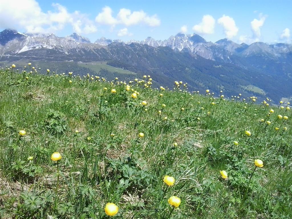 Apartment Martin Neustift im Stubaital Ruang foto