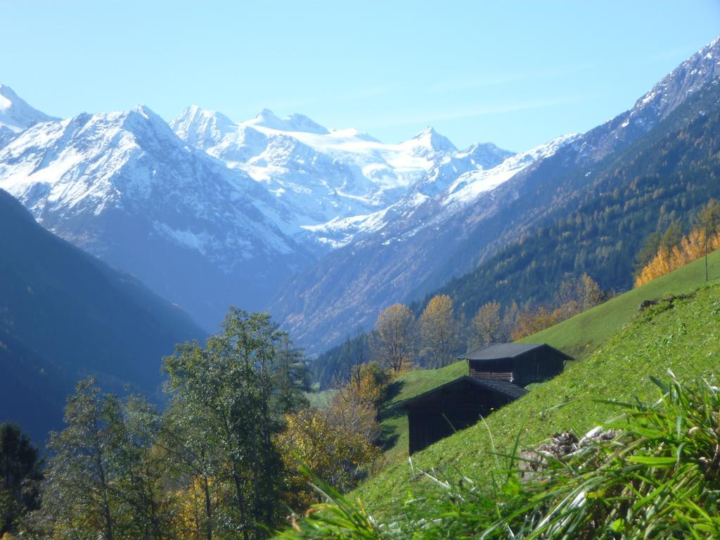 Apartment Martin Neustift im Stubaital Bagian luar foto